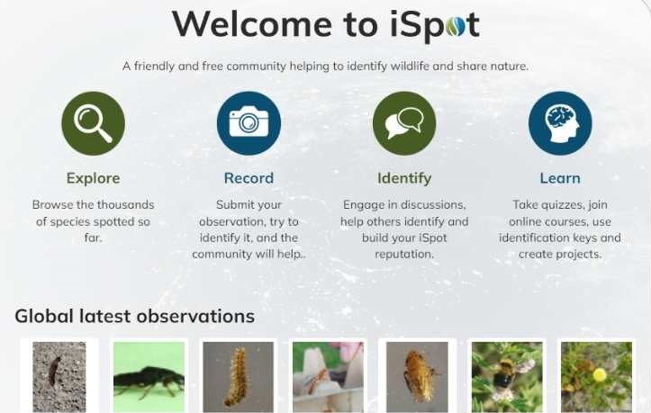 iSpot website