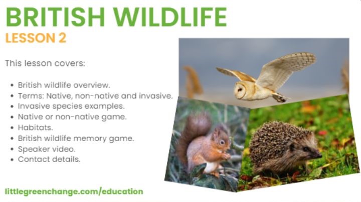Little Green Change British wildlife lesson image