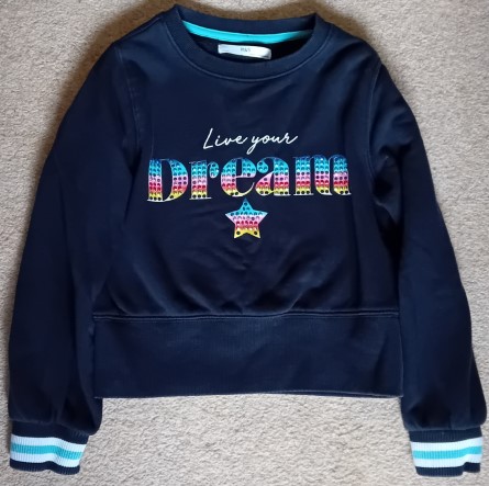 Dream jumper
