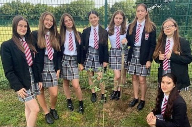 Donate a tree to a school or charity