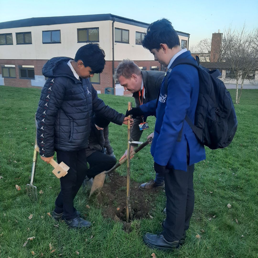 Furze Platt Senior School planting a Little Green Change plum tree, January 2024