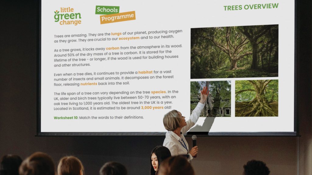 Little Green Change's Schools Programme - presentation example