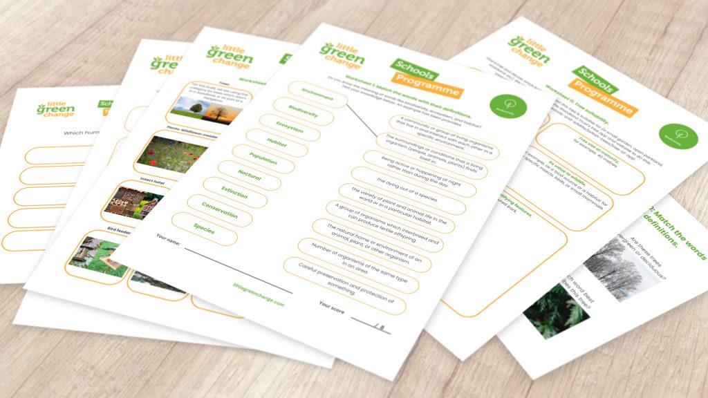 Little Green Change's Schools Programme - worksheet examples