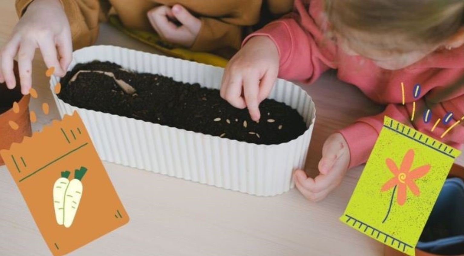 Kids in Dorset can learn to sow seeds during Easter