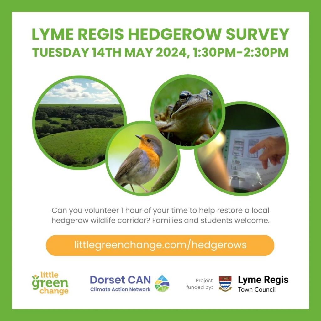 Lyme Regis hedgerow survey, 14th May 2024