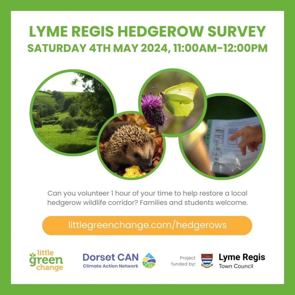 Lyme Regis hedgerow survey, 4th May 2024