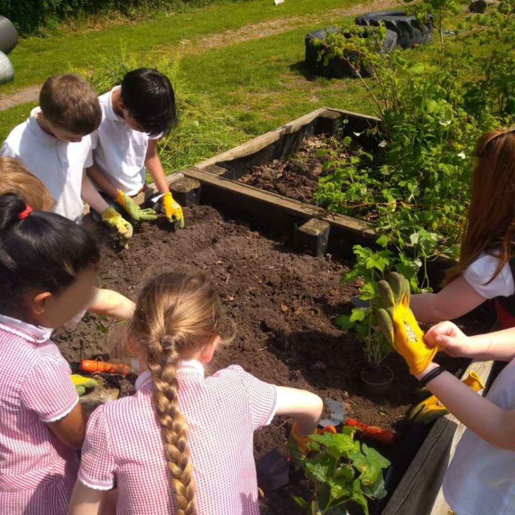 Little Green Change Grow Your Greens session at a school in Devon.