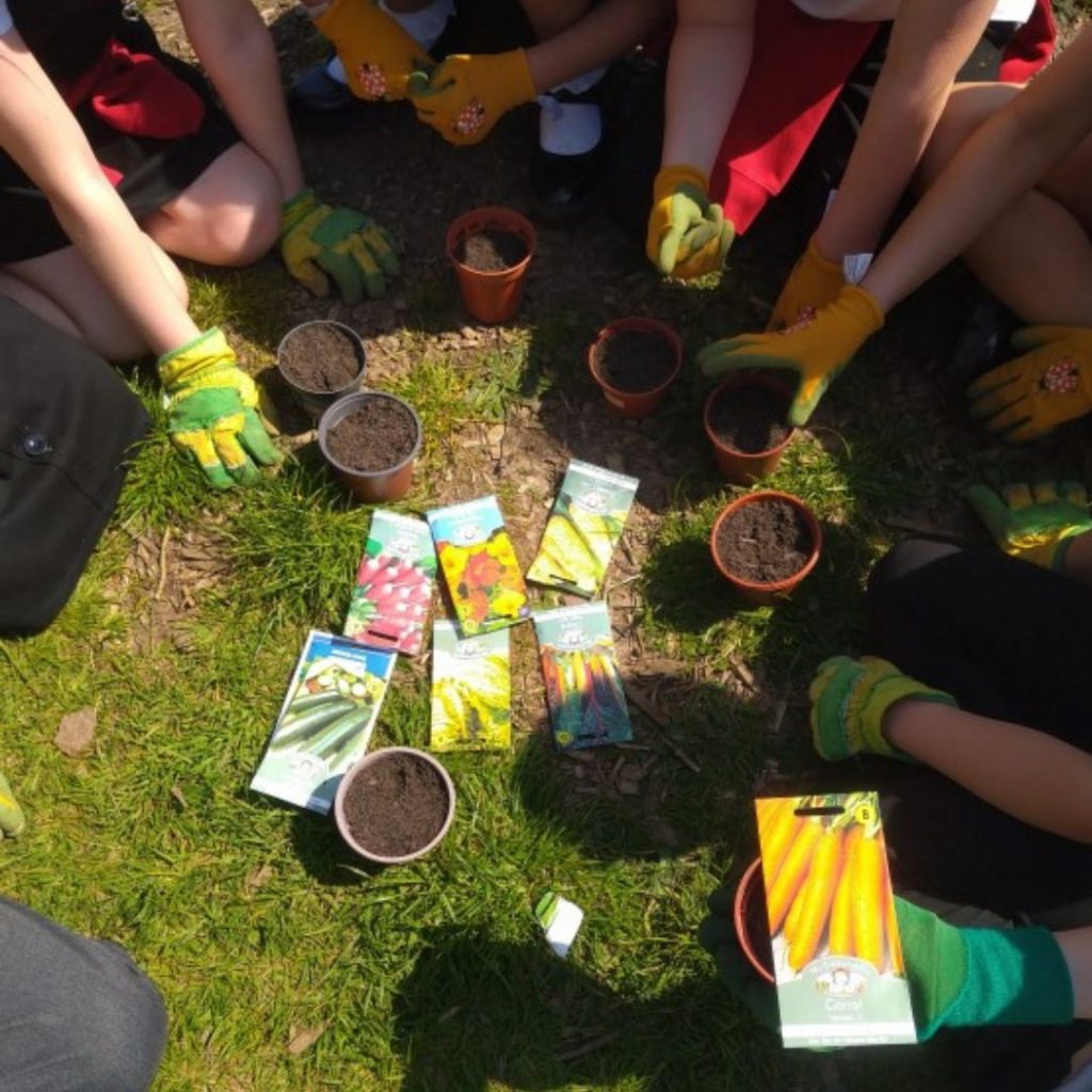 Little Green Change Grow Your Greens session in East Devon