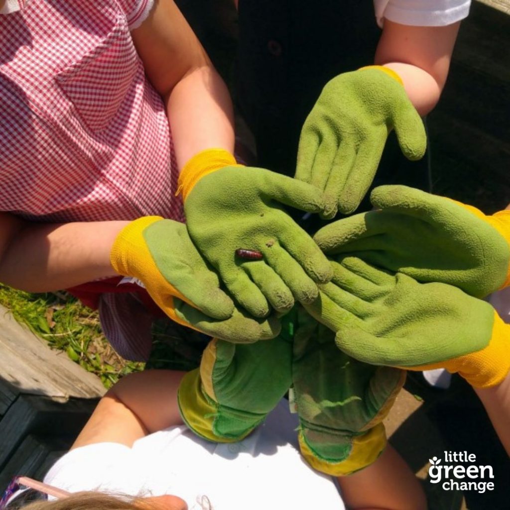 Little Green Change Grow Your Greens session at a school in Axminster