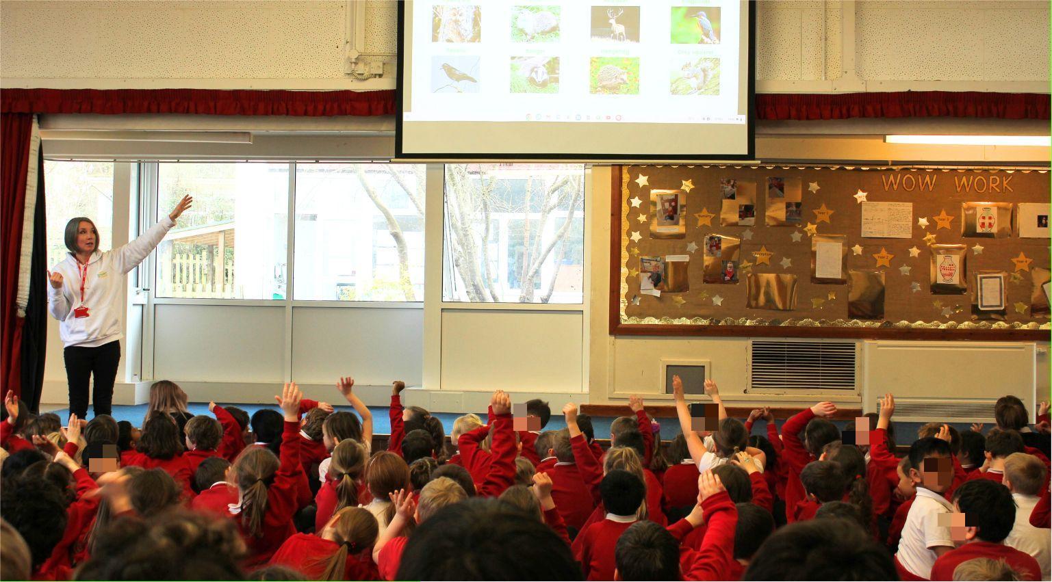 Free biodiversity boost and assemblies for Devon schools