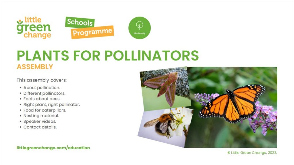 Plants for pollinators primary asssembly, opening slide, June 2024