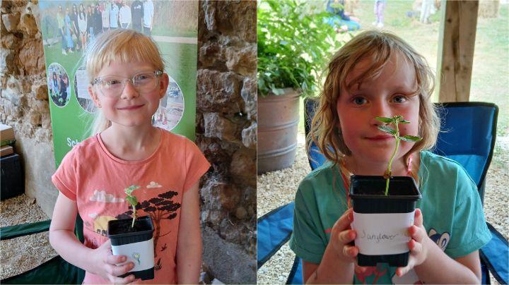Symondsbury seedlings planting, summer 2024