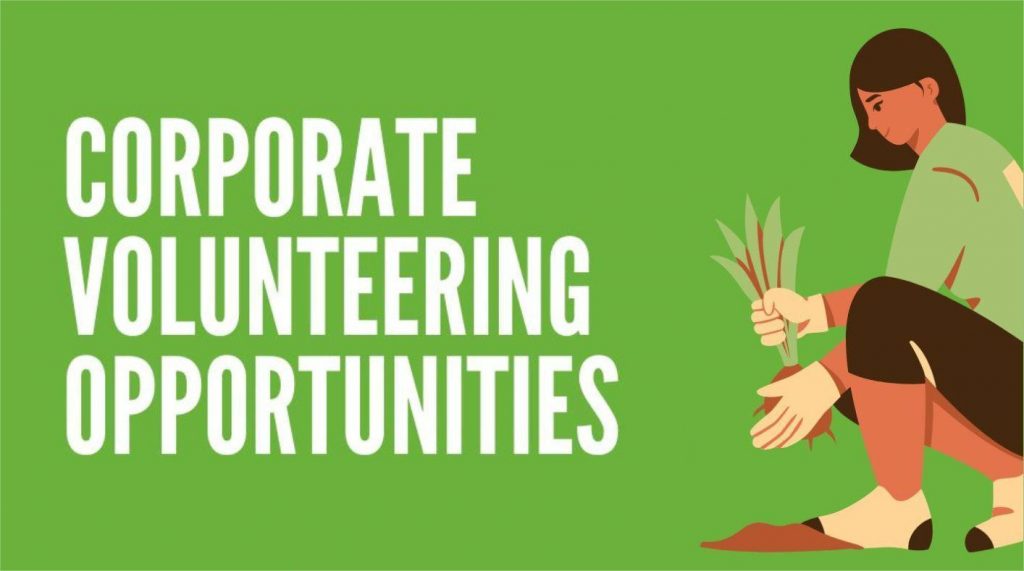 Corporate volunteering opportunities with Little Green Change