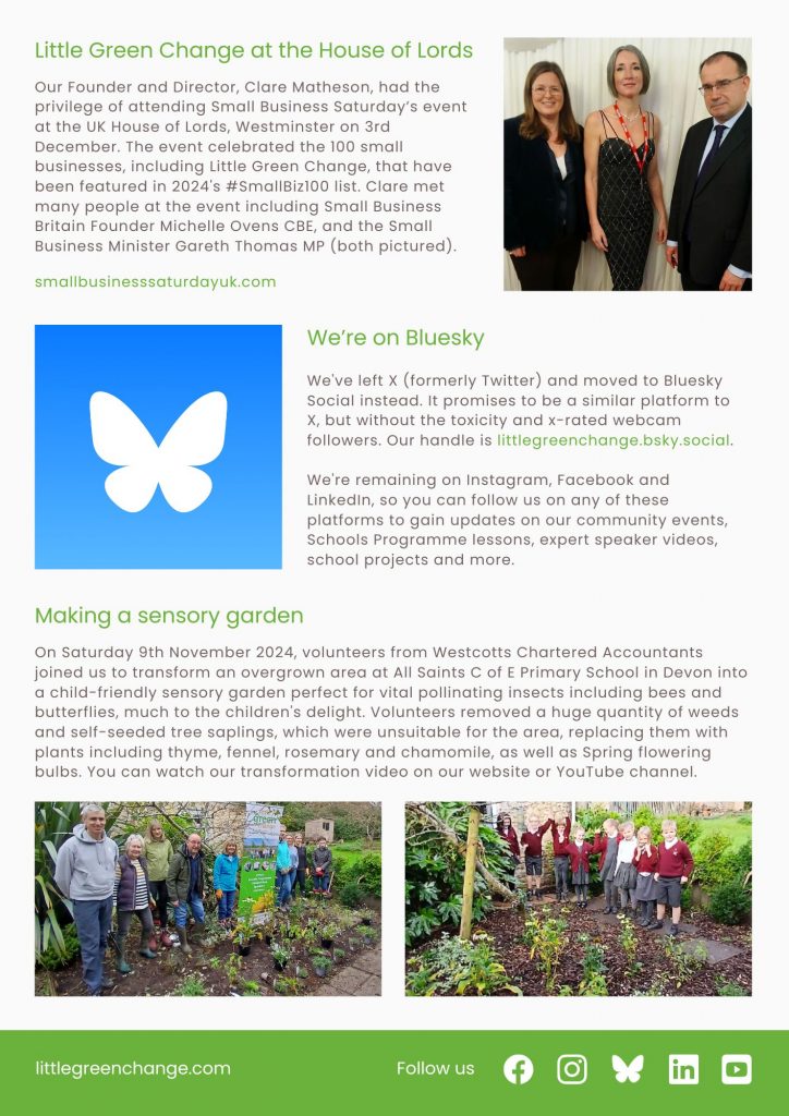 Little Green Change, Dec 2024 newsletter, page 2