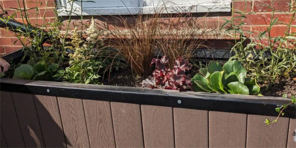 Rainwater planter