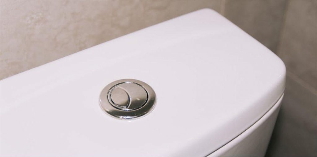 Toilet dual flush