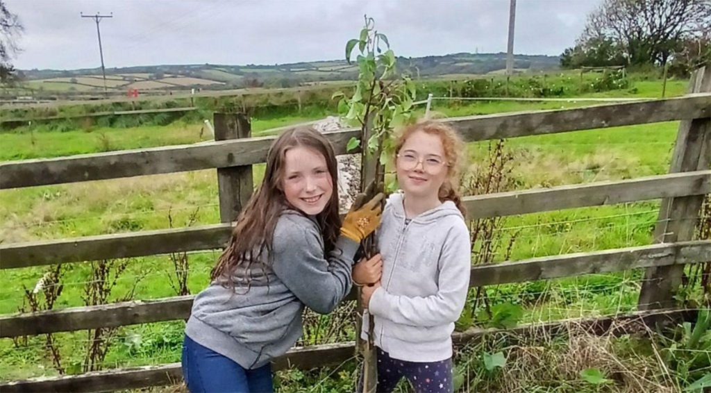 Tree planting, Little Green Change