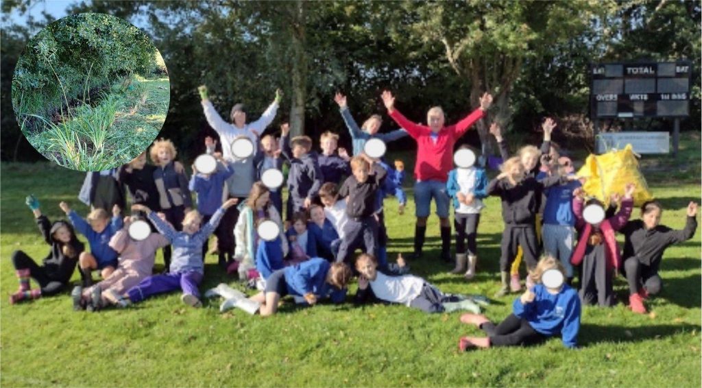 Willow and sedge planting