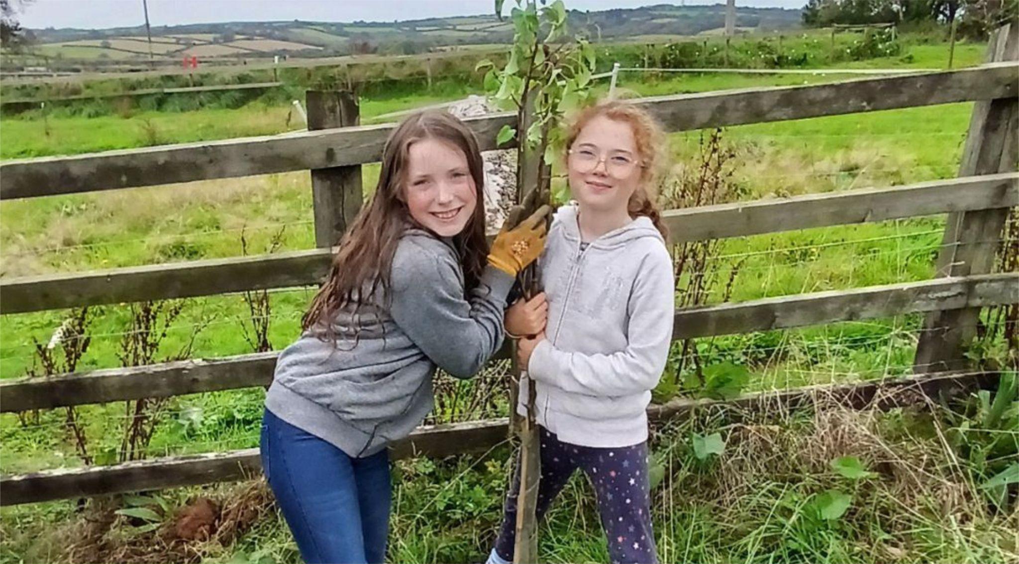 Biodiversity wins in Devon