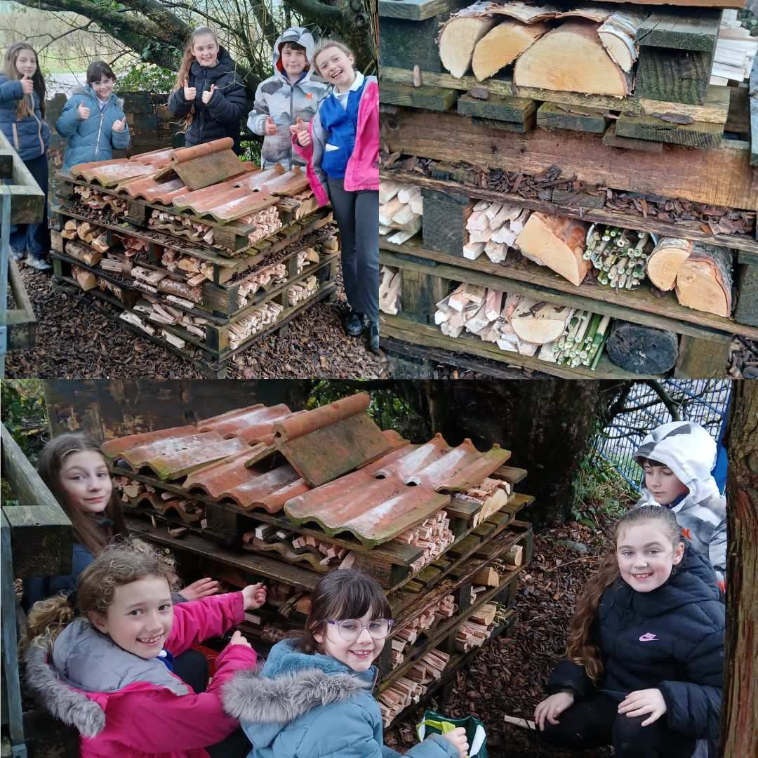 Little Green Change at Salway Ash CE Primary School, February 2026