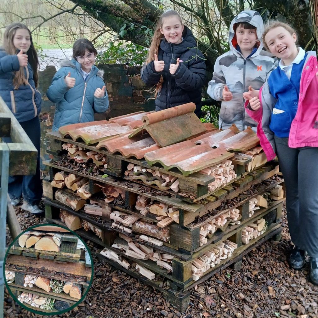 Little Green Change_Insect hotel_Salway Ash Primary School