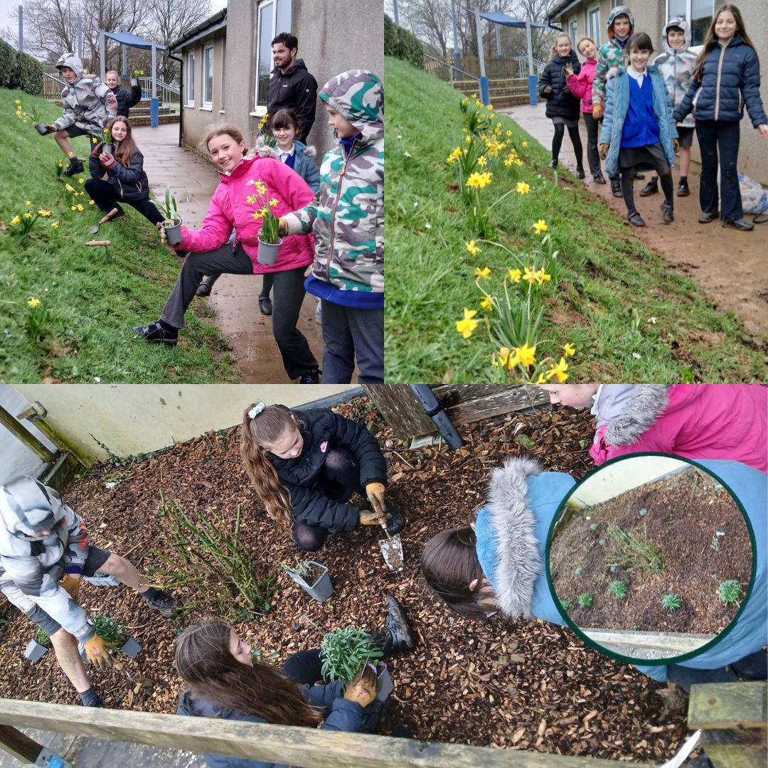Little Green Change at Salway Ash CE Primary School, February 2026